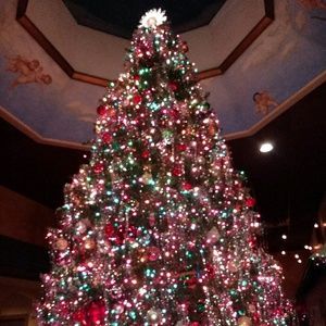 Meet your Posher, Malayna